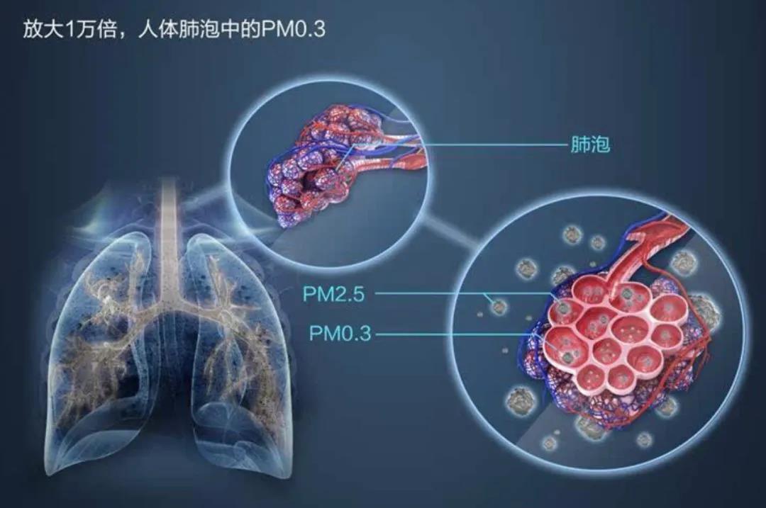 /uploads/image/2020/07/27/5672bf9d369824633d4e34a90aacbf2f.jpg 微信圖片_20200727101358.jpg